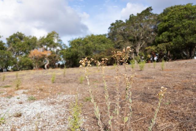 18221 Berta Canyon Road, Salinas CA: https://media.crmls.org/mediaz/34908660-c969-4bd5-a2bc-e44d18f92baa.jpg