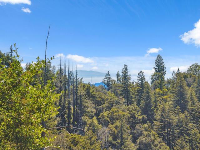 1 Wedwood Widge Way, Boulder Creek CA: https://media.crmls.org/mediaz/3490ca8e-f4ac-4544-a643-3e67581eb84e.jpg
