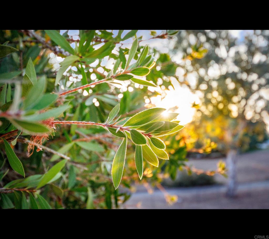 https://media.crmls.org/mediaz/3491d3b5-f5d8-4247-9868-abf6a6c59362.jpg?preset=X-Large