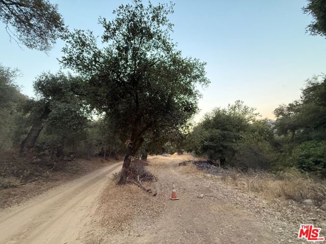 0 Hillside Drive, Topanga CA: https://media.crmls.org/mediaz/349af047-e70e-4a58-bd73-de60dd511702.jpg