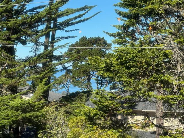 59 Skyline Crest Dr, Monterey CA: https://media.crmls.org/mediaz/34a7b2a6-e8a9-4ca1-bd96-df6207a45bb1.jpg
