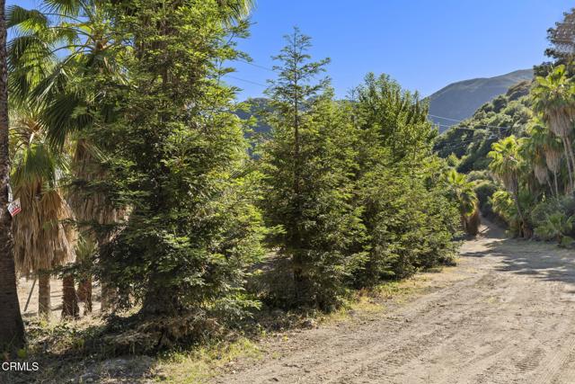 16825 Maricopa Highway, Ojai CA: https://media.crmls.org/mediaz/34b8a76f-944d-47fb-8f5b-3df2e66eeafb.jpg