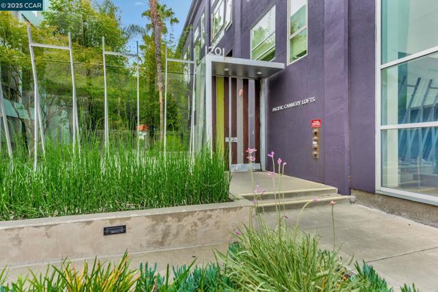 1231 Pine St, Oakland CA: https://media.crmls.org/mediaz/34bb83a7-1a26-4495-be73-11bf124c1cb2.jpg