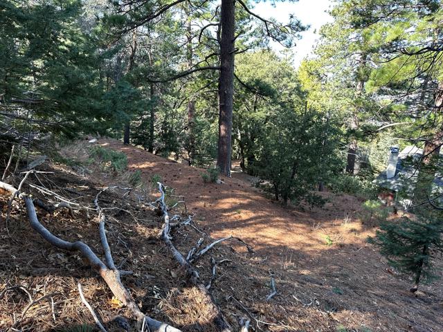 0 Green Craig, Idyllwild CA: https://media.crmls.org/mediaz/34c42d71-ec79-4ade-add4-847d3e404eb3.jpg