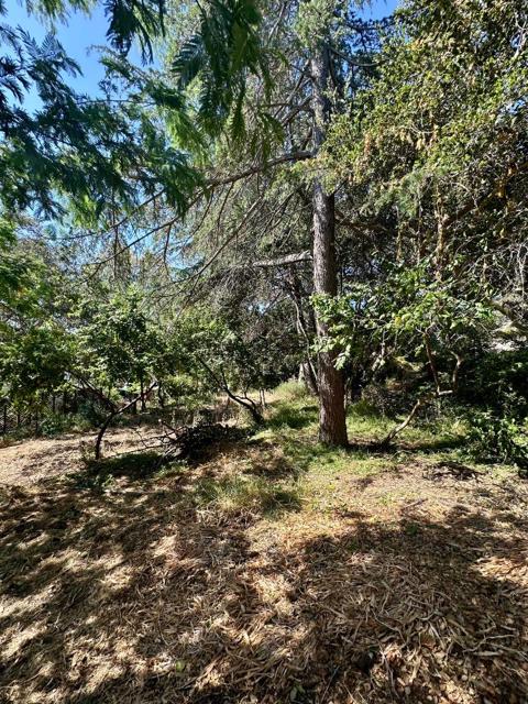 1920 Oak Knoll Drive, Belmont CA: https://media.crmls.org/mediaz/34c5399f-14a2-4a86-9760-944d029f89a0.jpg