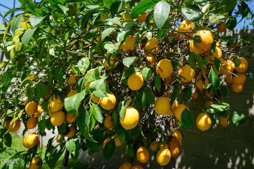https://media.crmls.org/mediaz/34c69e43-4961-4f5f-9fb5-d943d59e3922.jpg?preset=X-Large