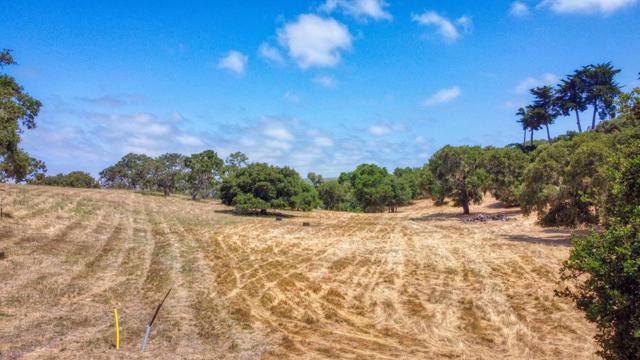 8340 Vista Monterra, Monterey CA: https://media.crmls.org/mediaz/34cc3e87-47be-4f99-a98d-07ec6ba22d6c.jpg
