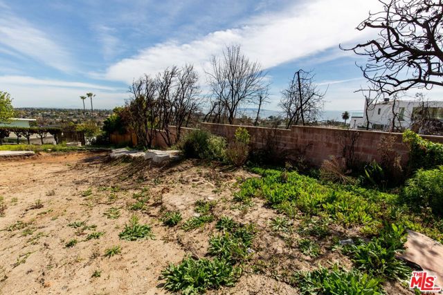 720 Lachman Lane photo 4