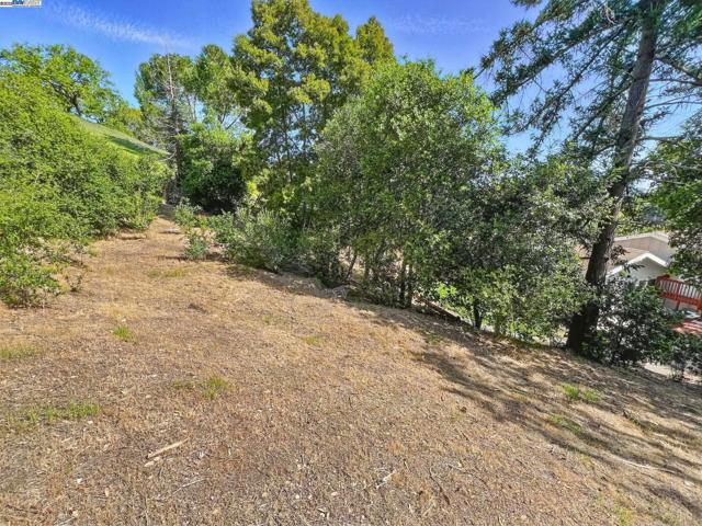35 San Joaquin Pl, Novato CA: https://media.crmls.org/mediaz/34d769fb-4d9d-4cd1-9b7b-8178ba2d8de1.jpg