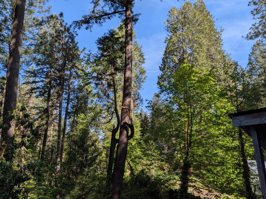 https://media.crmls.org/mediaz/34daba9b-a5ca-4d7a-ad47-7cb7ca0675d4.jpg?preset=X-Large