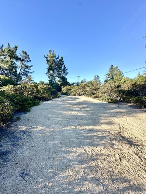 10001 West Drive, Felton CA: https://media.crmls.org/mediaz/34dc2905-0f81-4b0c-88b7-3708c7ee562f.jpg