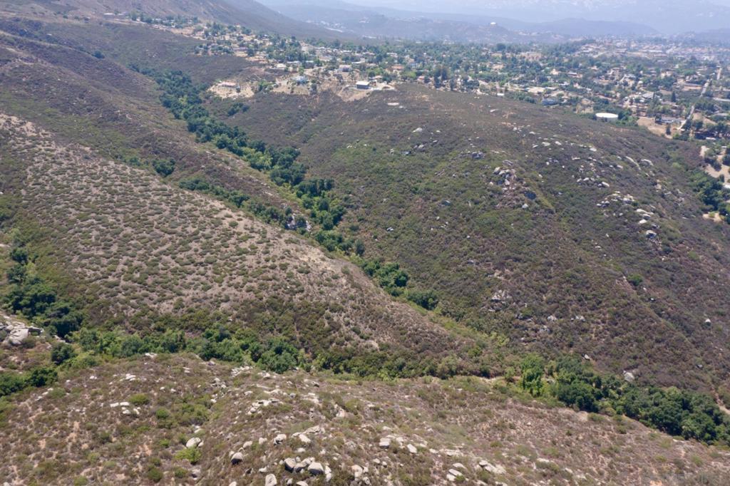 MLS #250035511SD image #6