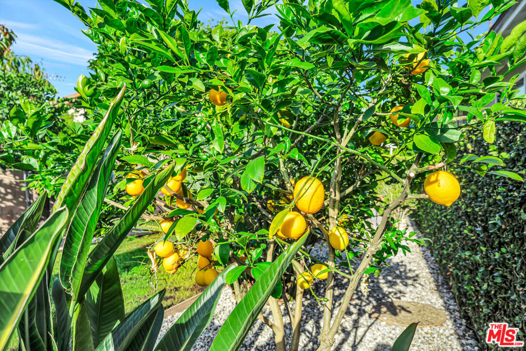 https://media.crmls.org/mediaz/34e59d79-c9b6-4876-beb3-cba596180ff2.jpg?preset=X-Large