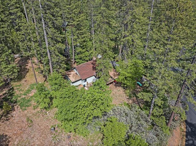 1753 Lightning Lane, Arnold CA: https://media.crmls.org/mediaz/34e71a36-3eae-4a0b-98e9-fb33092c58fd.jpg