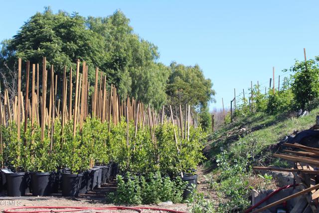 Detail Gallery Image 15 of 32 For 1672 E Los Angeles Ave, Somis,  CA 93066 - – Beds | – Baths