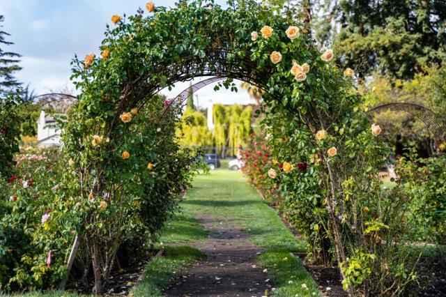 1190 Emory Street, San Jose CA: https://media.crmls.org/mediaz/34ed8572-438a-4de2-a1e8-79df1abd32ef.jpg