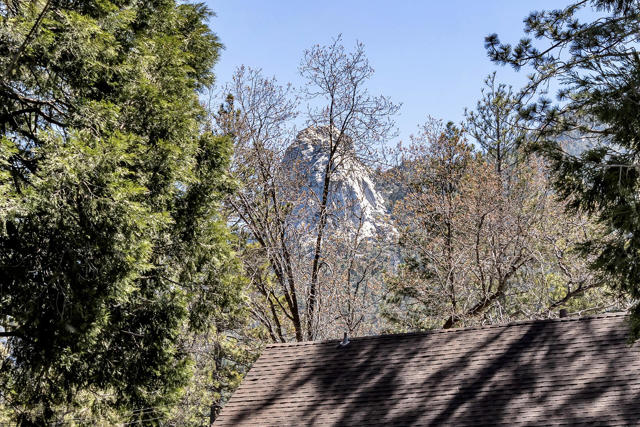 Image 3 for 25250 Lodge Rd, Idyllwild, CA 92549