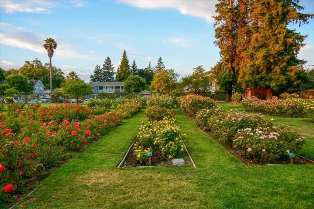 982 Morse Street, San Jose CA: https://media.crmls.org/mediaz/34f2967e-ddfe-449c-8caa-a59fd5c602b4.jpg