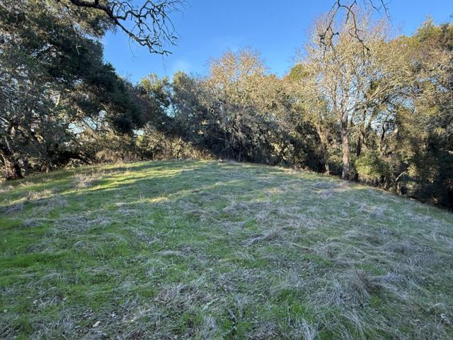 0 Chesbro Lake Drive, Morgan Hill CA: https://media.crmls.org/mediaz/34f68290-dbe1-4ebb-9552-1f05b8570d48.jpg
