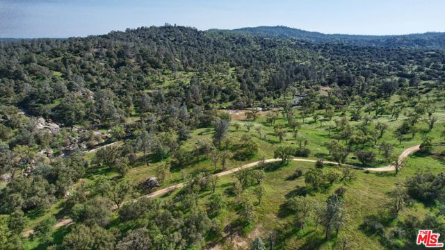 41924 Patrick Ave, Coarsegold CA: https://media.crmls.org/mediaz/34ffcaff-24e7-4c60-ab9c-beff2435dc1f.jpg