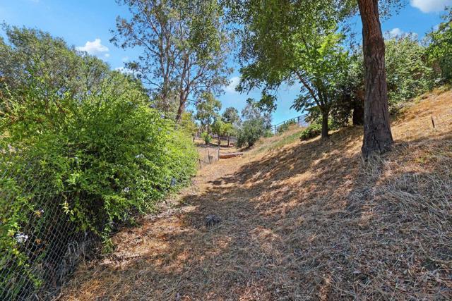974 Via Hillview, Fallbrook CA: https://media.crmls.org/mediaz/350f48cd-903b-438e-b98e-4354d9aae2c4.jpg