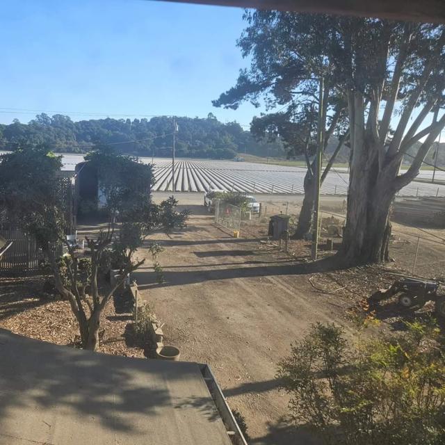 120 Trafton Road, Royal Oaks CA: https://media.crmls.org/mediaz/3514de30-dc9e-49e9-ba42-39eb1c52a5fd.jpg