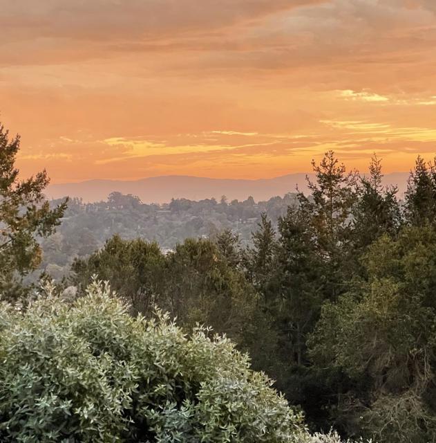 645 Skyward Drive, Aptos CA: https://media.crmls.org/mediaz/352b03d8-efff-4d55-b0f1-684be78f4483.jpg