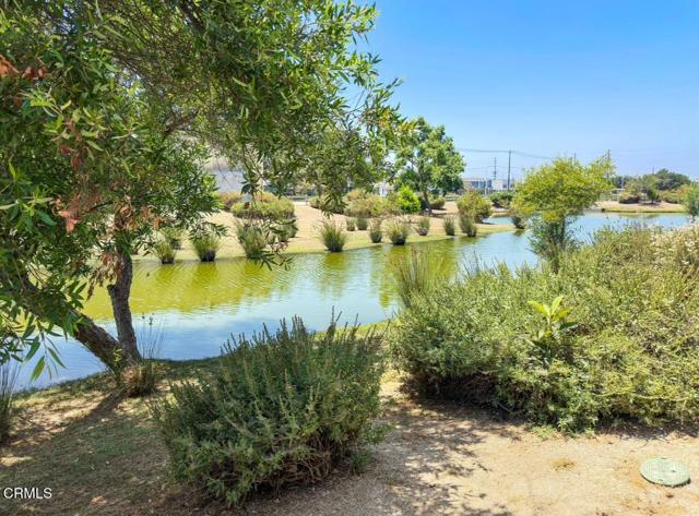 Detail Gallery Image 5 of 6 For 1802 W 49th St, Los Angeles,  CA 90062 - – Beds | – Baths