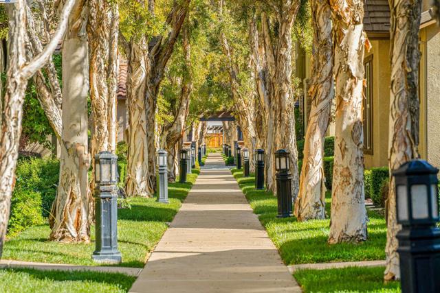 215 W Santa Cruz Way, Mountain House CA: https://media.crmls.org/mediaz/352f1540-d1cd-4462-b5f0-9230aeaa73fa.jpg