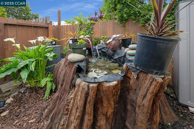 1923 28th Ave, San Francisco CA: https://media.crmls.org/mediaz/352f4023-21a7-481e-9995-8a05e8f030eb.jpg