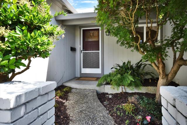 448 Kings Court, Campbell CA: https://media.crmls.org/mediaz/3539f8fc-9541-41e6-8ee1-4d99144f2054.jpg