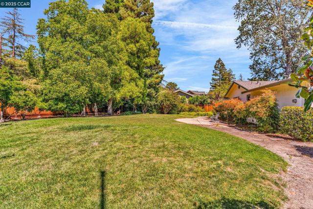 2032 Vanderslice Ave, Walnut Creek CA: https://media.crmls.org/mediaz/353f53a5-f2b9-4d17-a503-0e16a67bbc66.jpg