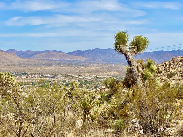 104 Bandera Road, Yucca Valley CA: https://media.crmls.org/mediaz/353facdd-2565-408e-93c9-0ca3a5b14667.jpg