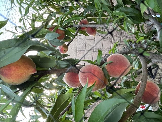 Detail Gallery Image 25 of 33 For 389 Eureka Dr, Santa Paula,  CA 93060 - 3 Beds | 2 Baths