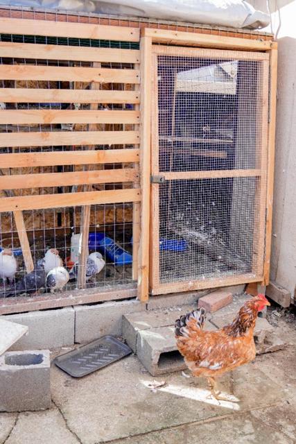 18940 Loree Avenue, Cupertino CA: https://media.crmls.org/mediaz/35492fd2-08af-4c92-9612-7e60c6bf1b10.jpg