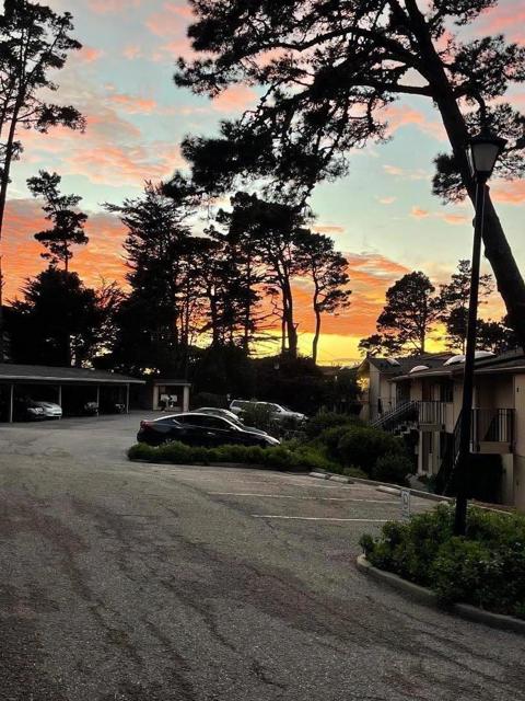 250 Forest Ridge Road, Monterey CA: https://media.crmls.org/mediaz/3549a7d2-0aa3-43f7-8867-add513b804c3.jpg