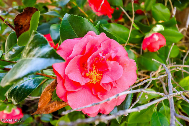 5260 Edgeware Drive, Calabasas CA: https://media.crmls.org/mediaz/3559a9a3-5bee-4648-abc7-21bc81369ca8.jpg