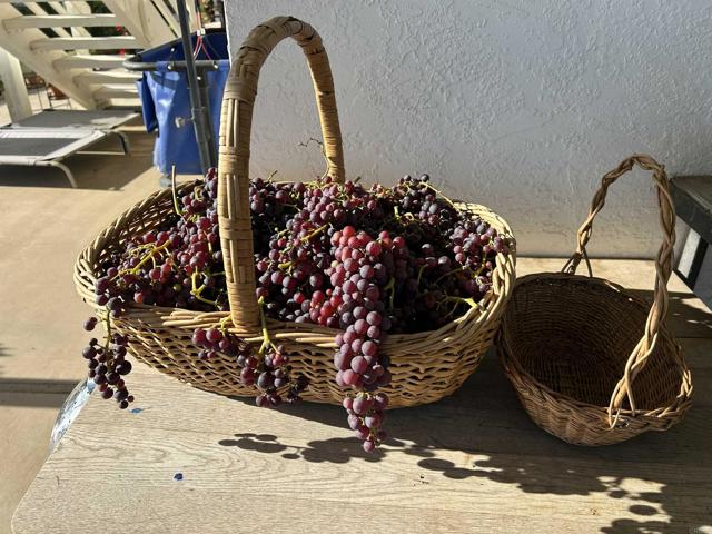 Detail Gallery Image 46 of 49 For 2187 Mil Sorpresas Dr, Fallbrook,  CA 92028 - 4 Beds | 4 Baths