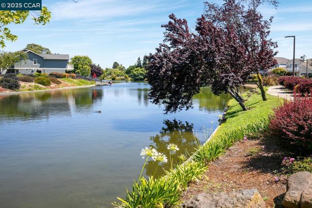 23 Shepardson Ln, Alameda CA: https://media.crmls.org/mediaz/3577cdb6-347e-4db8-b7f5-c3079f183892.jpg
