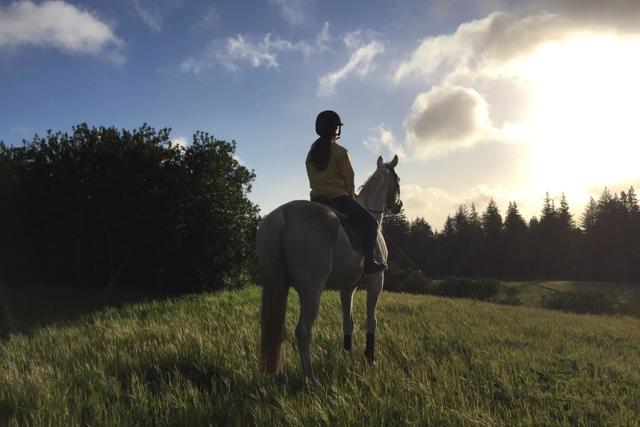 3980 Bonny Doon Road, Santa Cruz CA: https://media.crmls.org/mediaz/3584088d-3d81-490f-82af-2240db498cd3.jpg