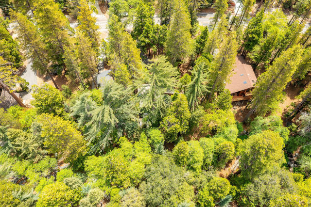 24542 Fern Valley Road, Idyllwild CA: https://media.crmls.org/mediaz/35843d7e-0aef-4bf5-b7cf-4cfc64f8b5f3.jpg