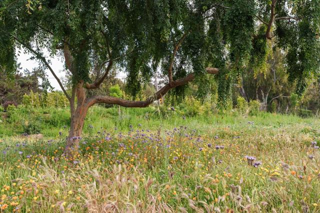 5306 Linea Del Cielo, Rancho Santa Fe CA: https://media.crmls.org/mediaz/3590582d-c391-4c9b-8336-0d576f35ea18.jpg