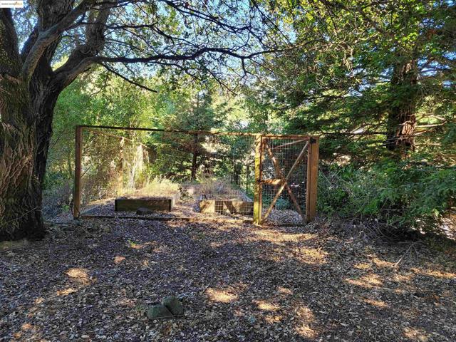 40 Hilldale Ct, Orinda CA: https://media.crmls.org/mediaz/35905d09-8b63-47f7-8d08-3fc52ded0d33.jpg