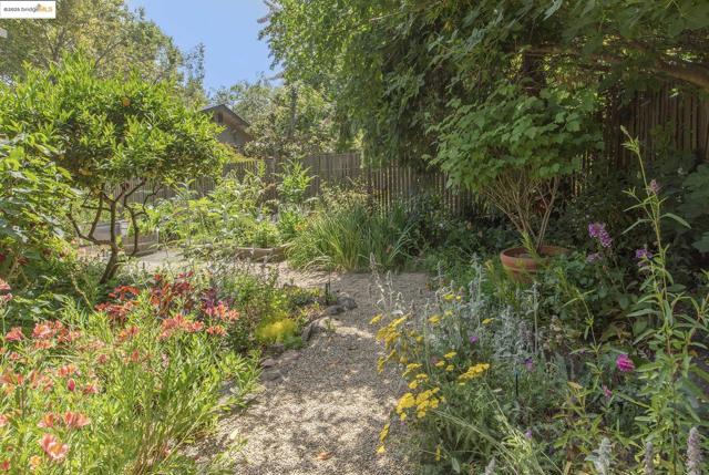 1081 Keith Ave, Berkeley CA: https://media.crmls.org/mediaz/3592d5ef-691f-46ff-ab0b-0071180c161e.jpg