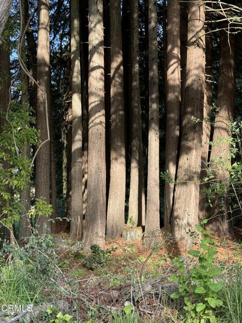 31750 Pudding Creek Road, Fort Bragg CA: https://media.crmls.org/mediaz/35933a25-58f8-45c9-a81d-ab99a7fe24e5.jpg