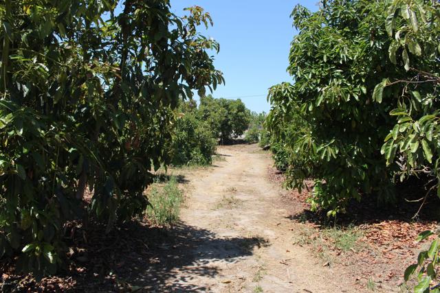 Detail Gallery Image 32 of 33 For 0 Camulos St, Piru,  CA 93040 - – Beds | – Baths