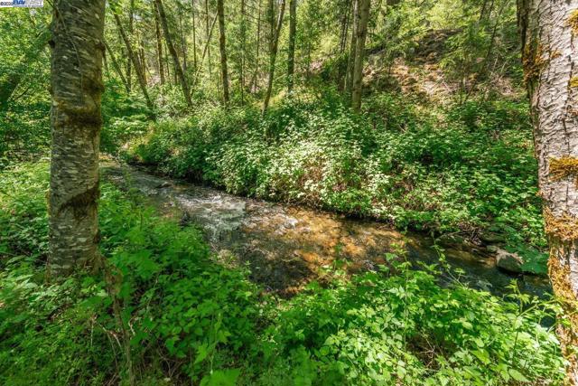 31 Rocky Road, Weaverville CA: https://media.crmls.org/mediaz/35968ccd-e25e-4b6a-892a-fbd380dd3010.jpg