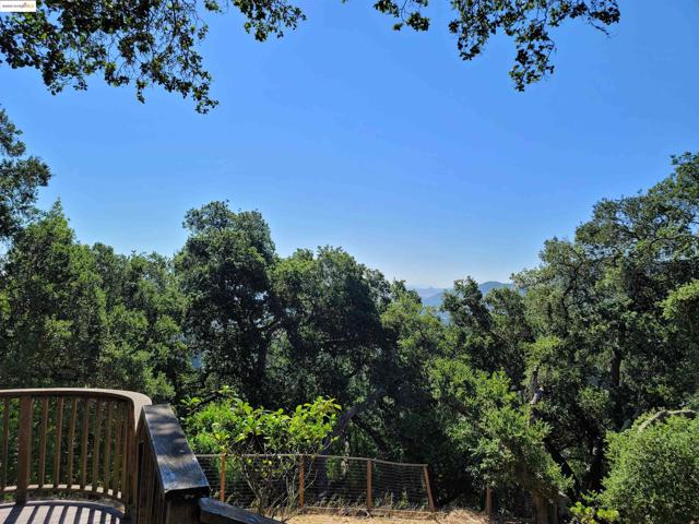 40 Hilldale Ct, Orinda CA: https://media.crmls.org/mediaz/35a88456-04f5-4f71-97bf-e284d2030f88.jpg