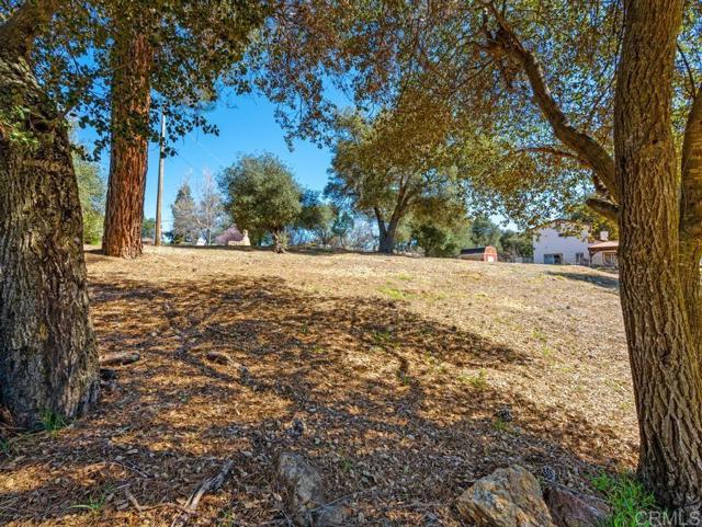 Detail Gallery Image 15 of 25 For 25176 Oak Ln, Descanso,  CA 91916 - 1 Beds | 1 Baths