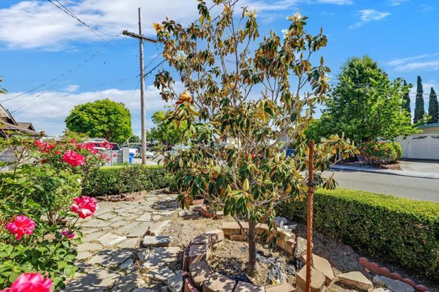 43270 Newport, Fremont CA: https://media.crmls.org/mediaz/35b7b06c-2630-4f08-b242-1bd4a58c3134.jpg